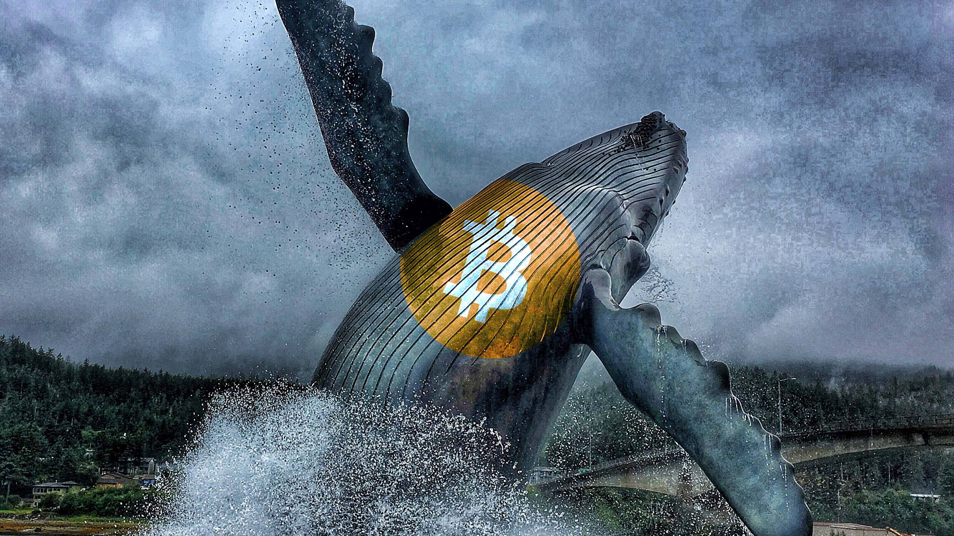 Bitcoin Reaches New All-Time High and Keeps Soaring