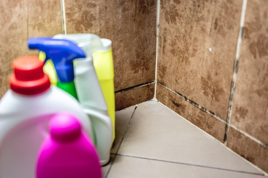 How to Get Rid of Mold in Bathroom | Bathroom Mold Removal