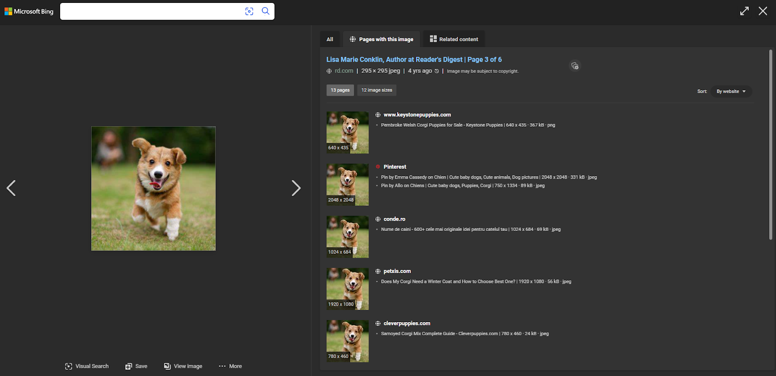 Bing reverse search results