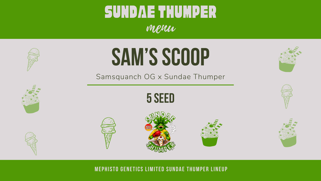 Home [www.mephistogenetics.com]