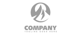 Placeholder Logo