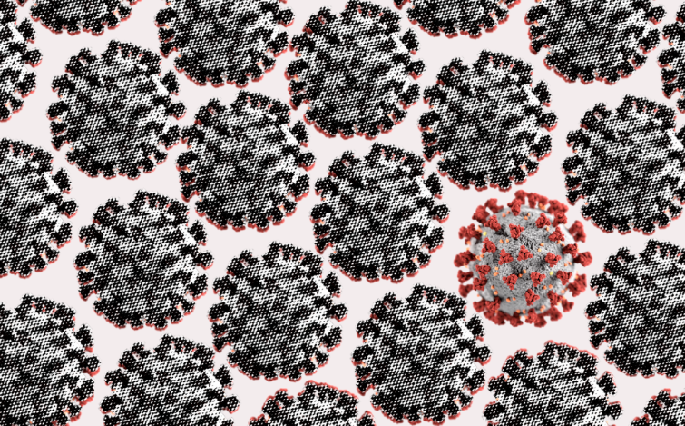 A grid of coronavirus particles.