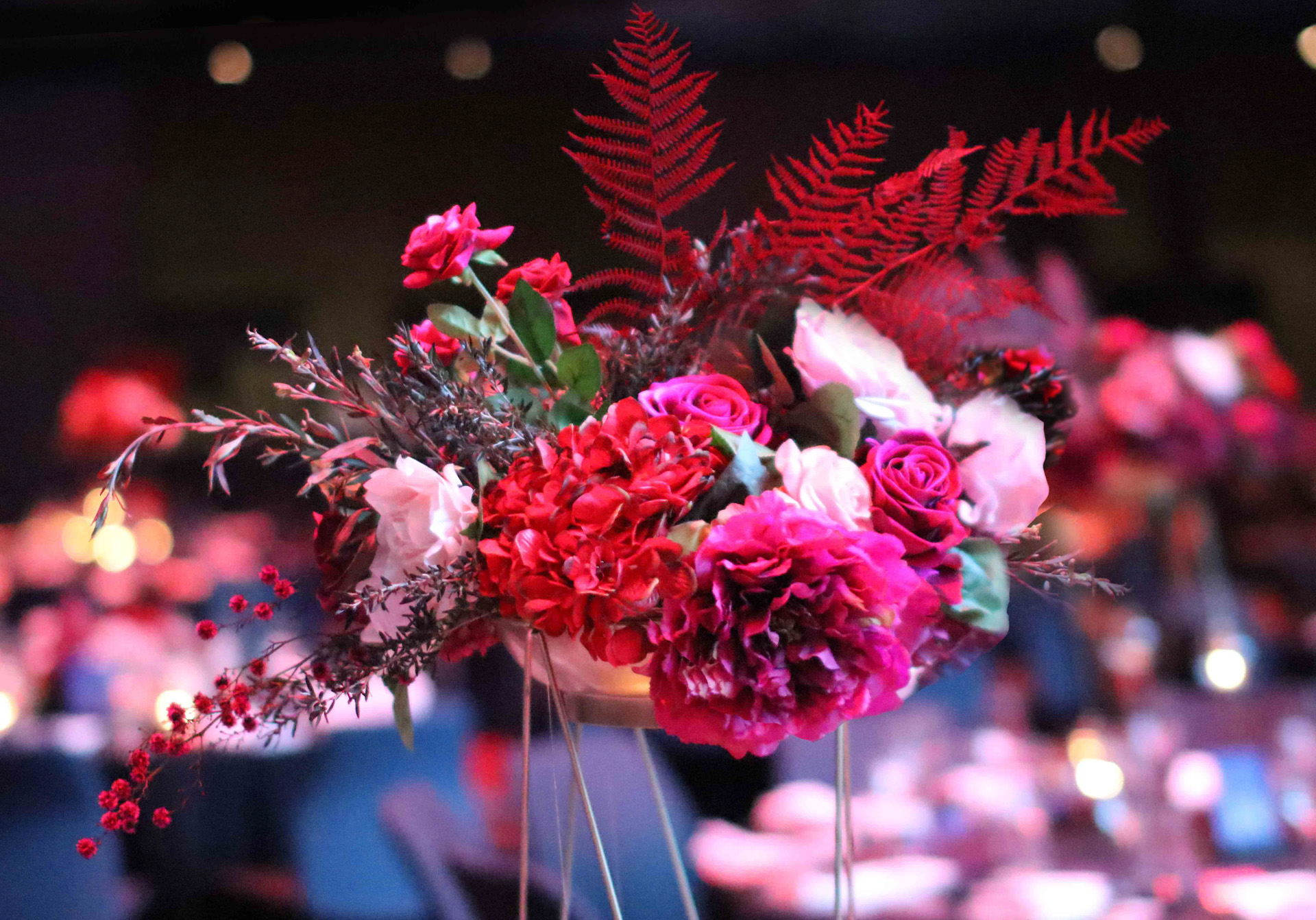 JCAU Events Corporate Event Planner Melbourne Event Management Company