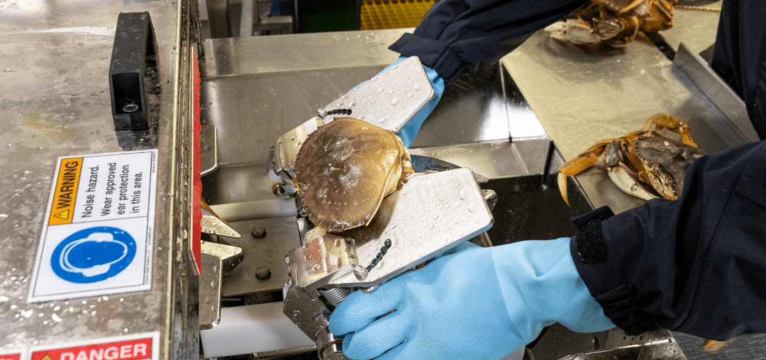 Shellfish and Seafood Processing BAADER Fish