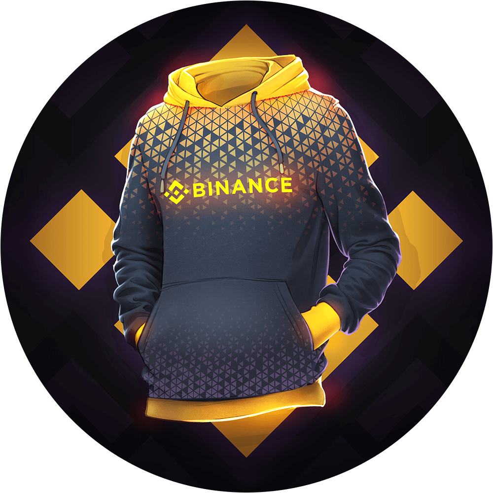 Binance Hoodie