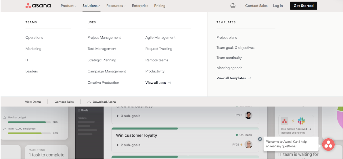 Asana website example