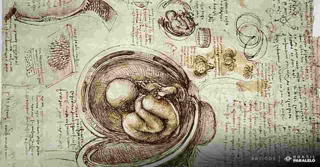Significados do Homem Vitruviano de Da Vinci