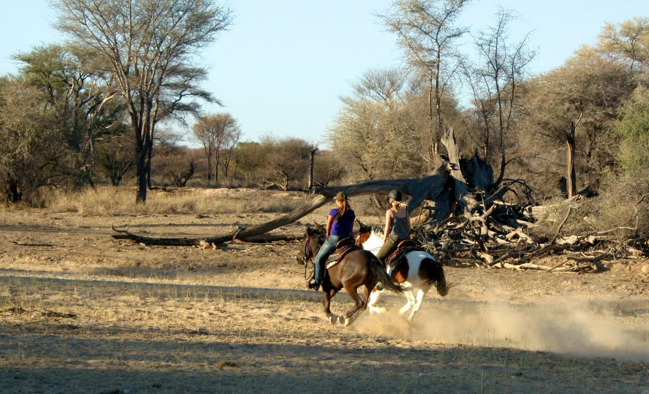 Horse Safari in Namibia | Hooves Around the World