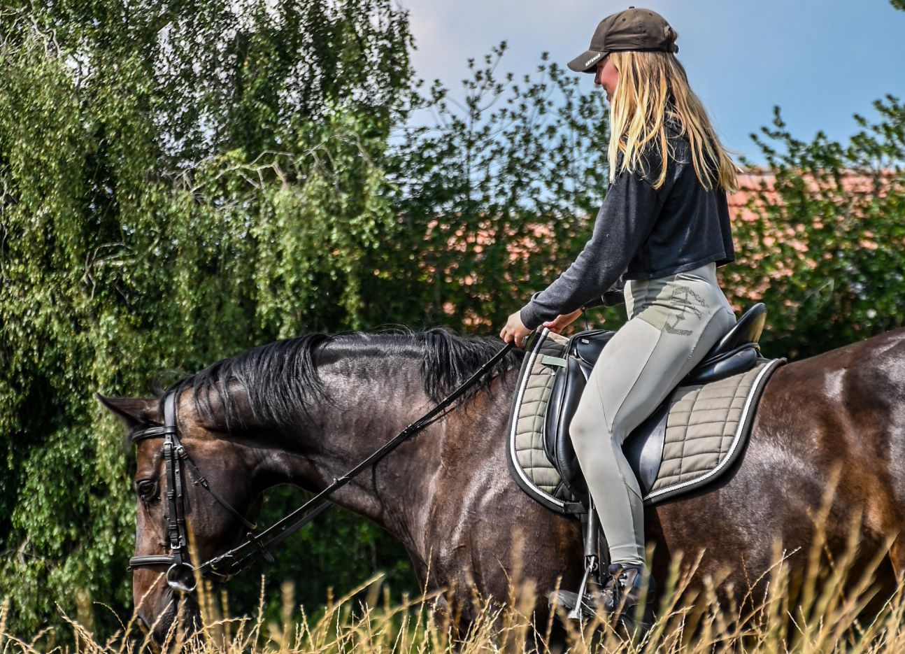 How to find horse friendly trail riding holidays abroad Hooves Around