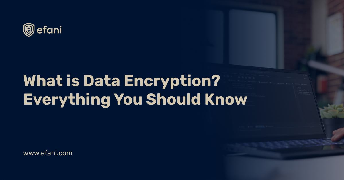 What Is Data Encryption? Everything You Should Know