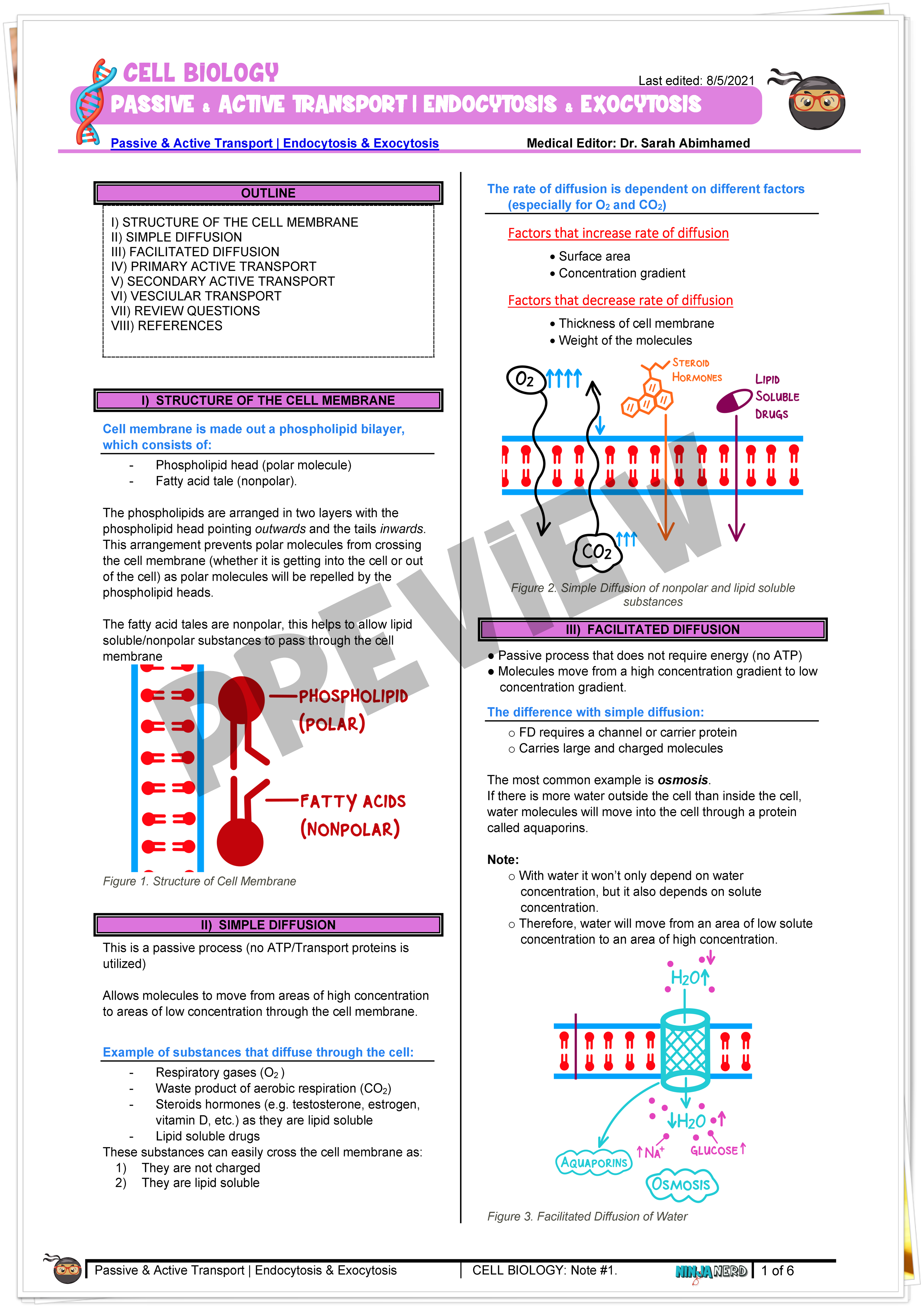 Passive Active Transport Endocytosis Exocytosis Notes Ninjanerd Medicine
