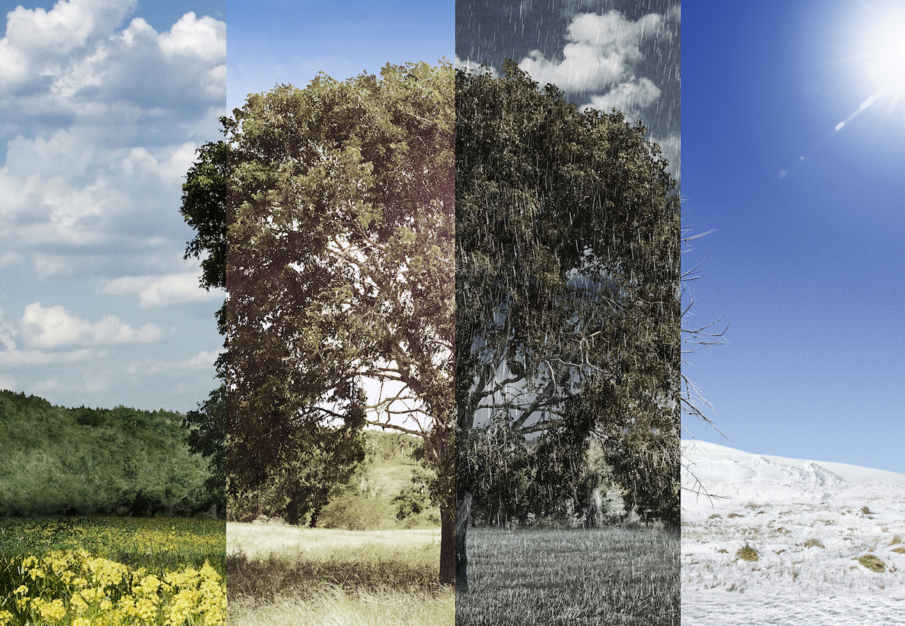 What Are the Best Seasonal Business Ideas? MileIQ