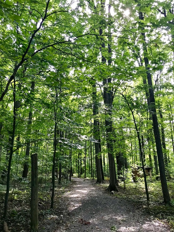 Office & Commercial Cleaning Services in Stouffville Stouffville