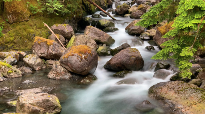 Long exposure photography of a stream in the forest
