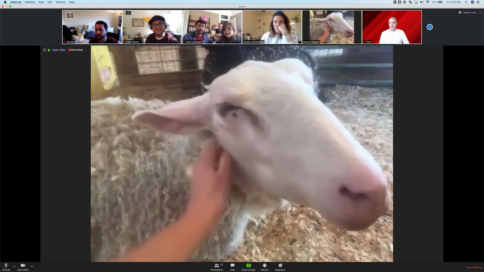 goat 2 meeting