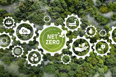 Green Building Design Consultants