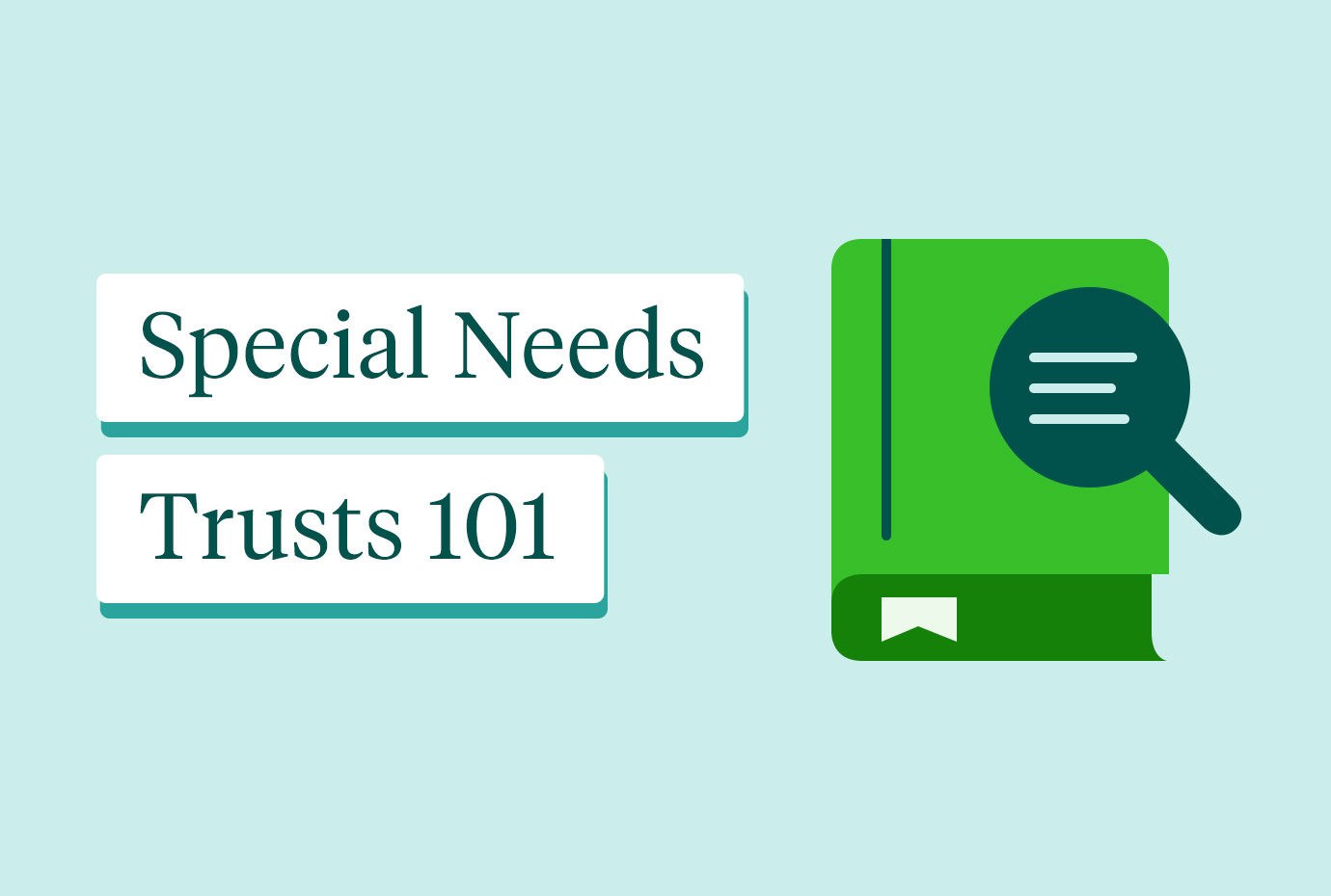 Special Needs Trusts 101 A Glossary of Key Terms
