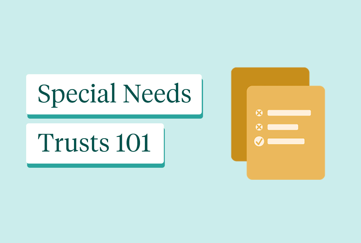 Special Needs Trusts 101 What Type of Trust Should You Choose?