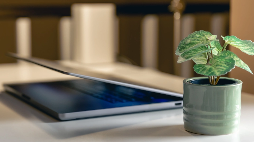 Digital carbon footprint cos’è la sostenibilità digitale