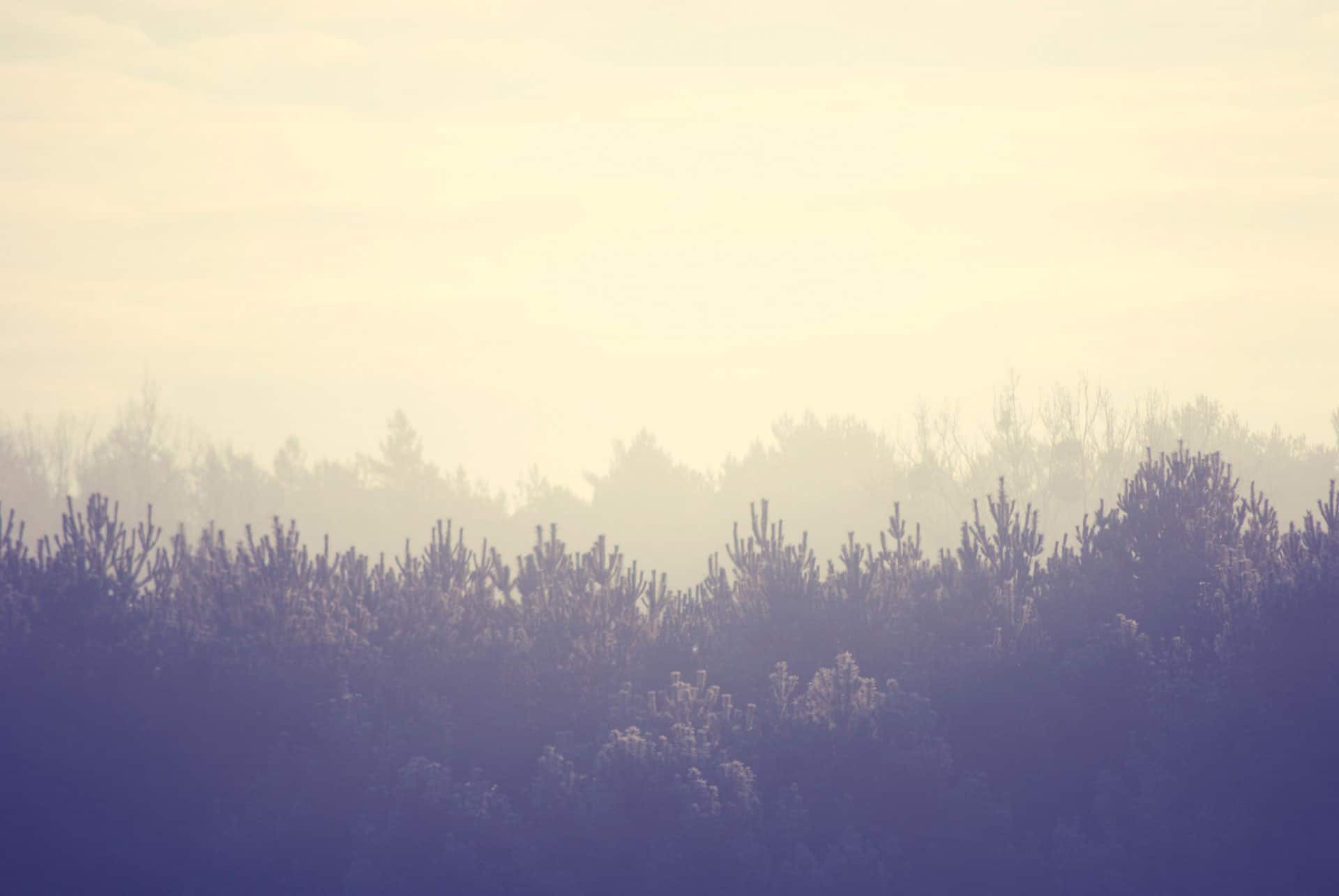 How to Launch Any Product Using the "Lean Startup Method"