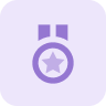 Medal icon to convey the concept of a reward