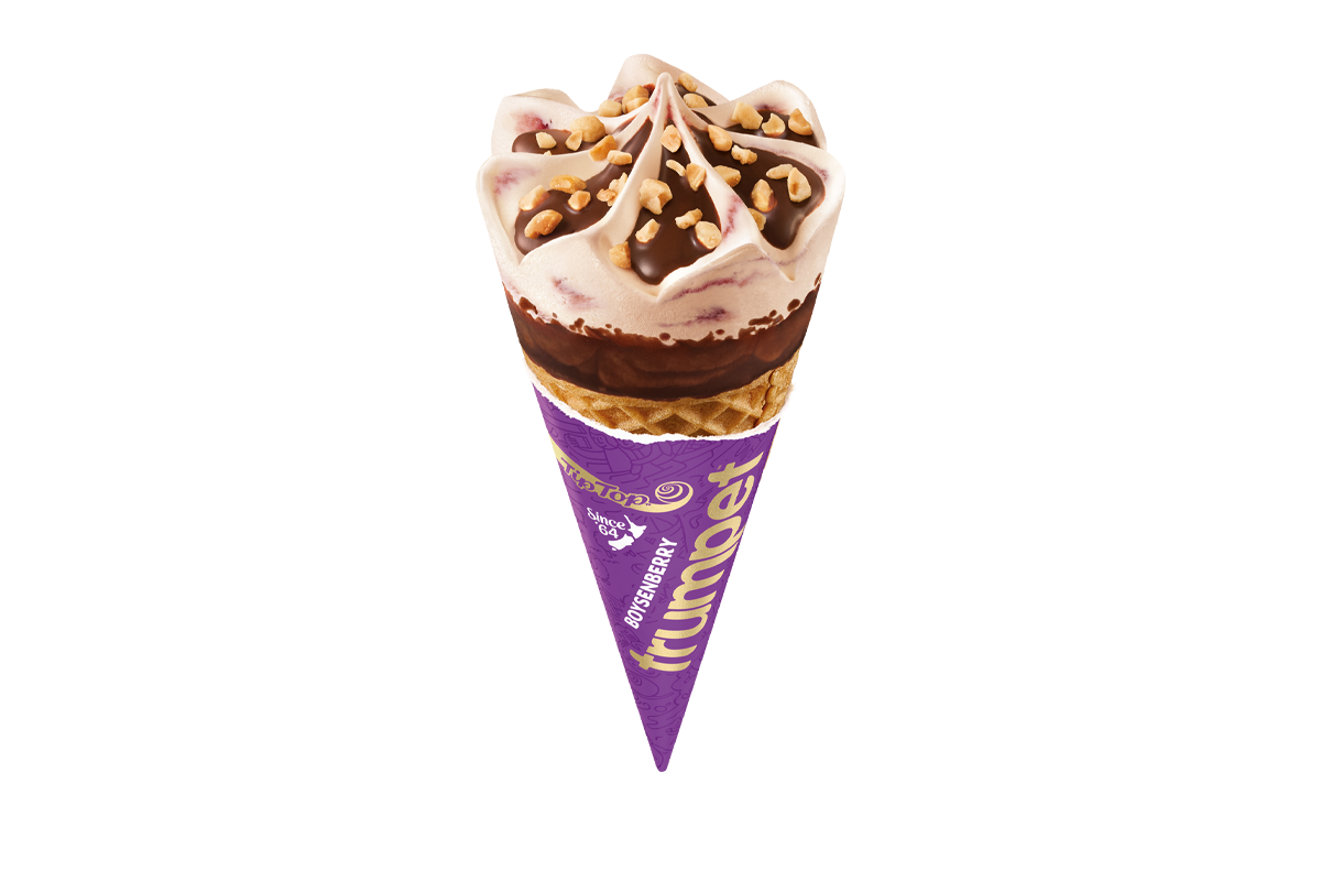 Tip Top Boysenberry Trumpet Ice Cream Tip Top
