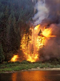 wildfire wvmcc