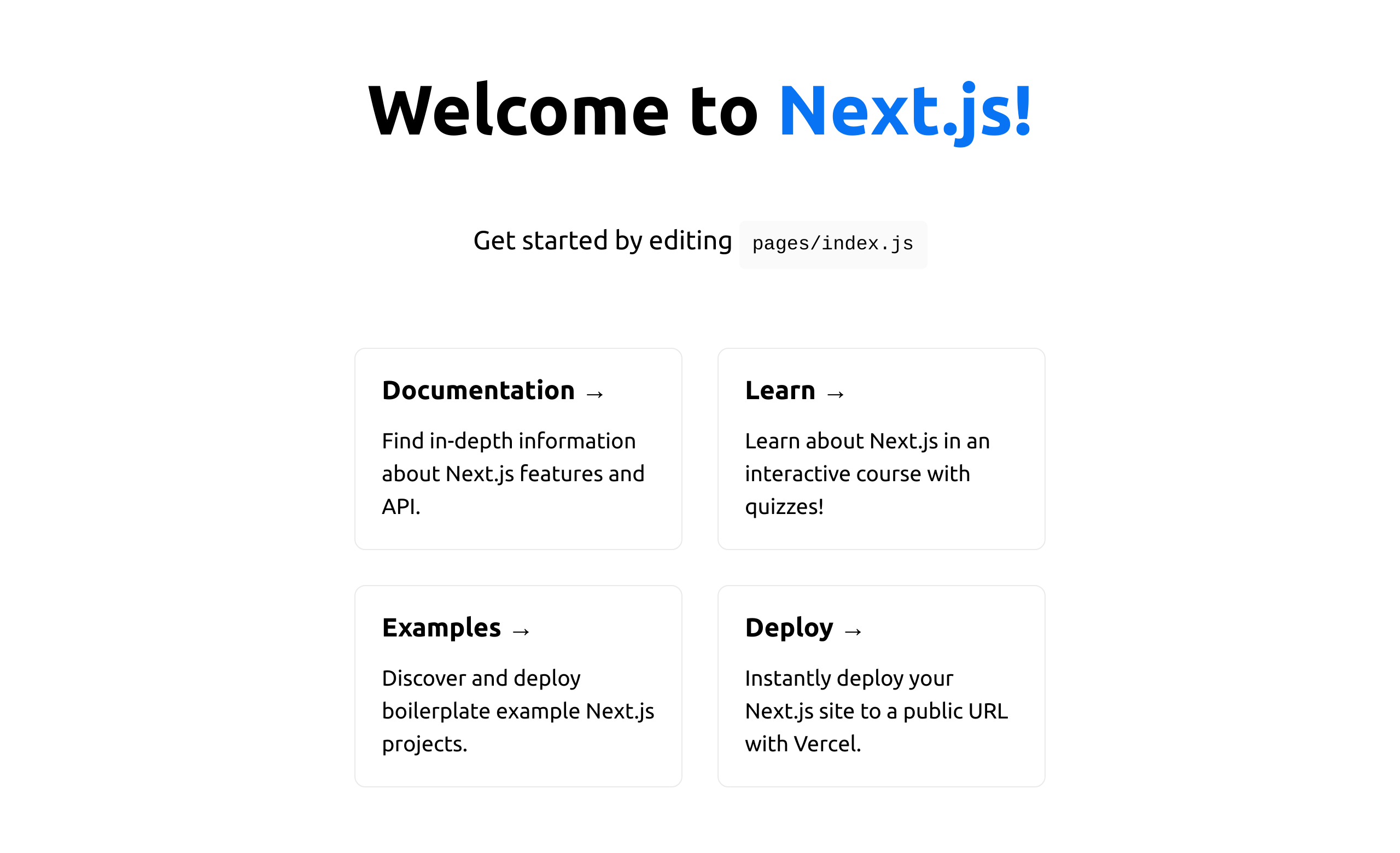 First view of Next.js website