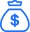 Financial capability