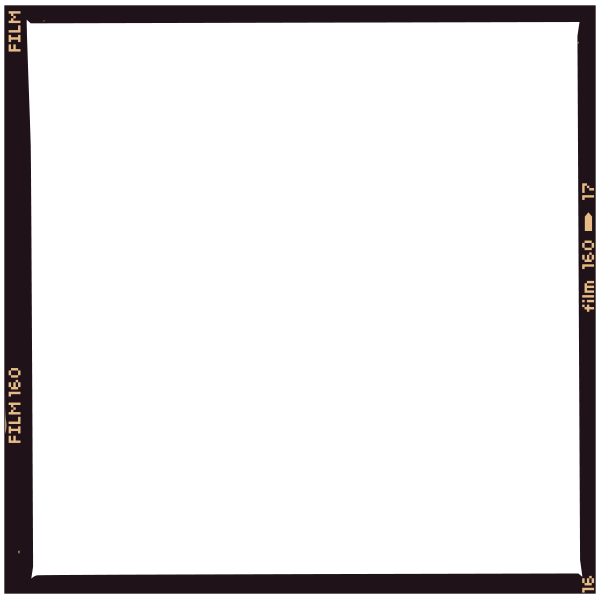 Night Lights Event — Sky Lantern Festival