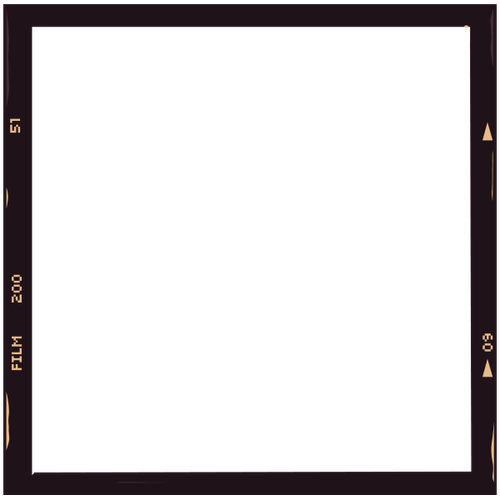 Night Lights Event — Sky Lantern Festival