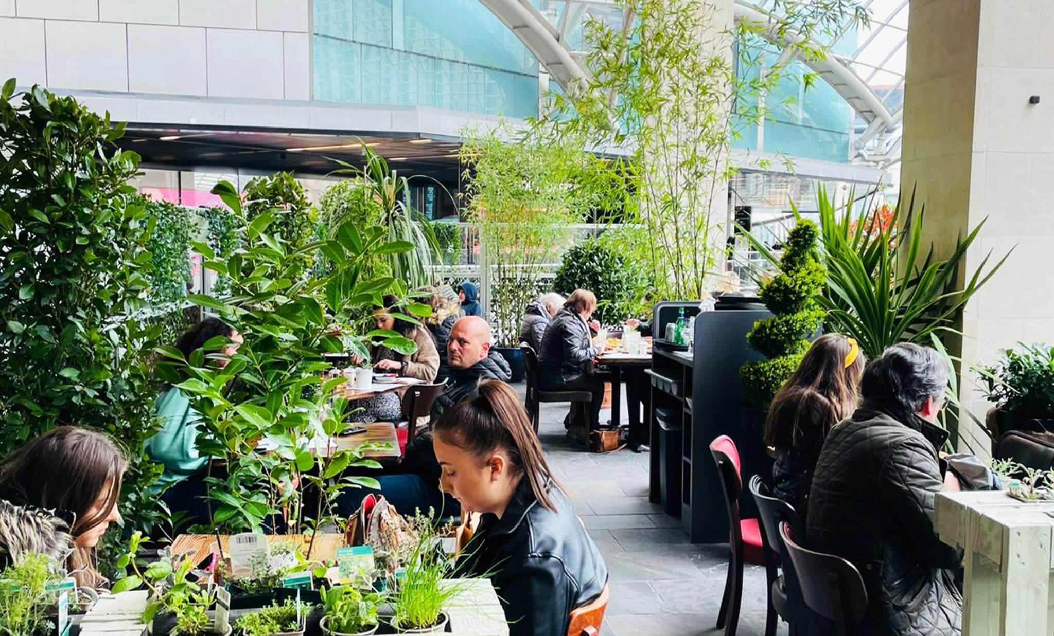 Coal Kitchen Restaurant Cabot Circus Cocktail Bar Bristol