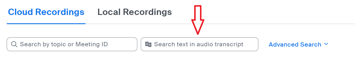 Search Text in Audio Transcript Section