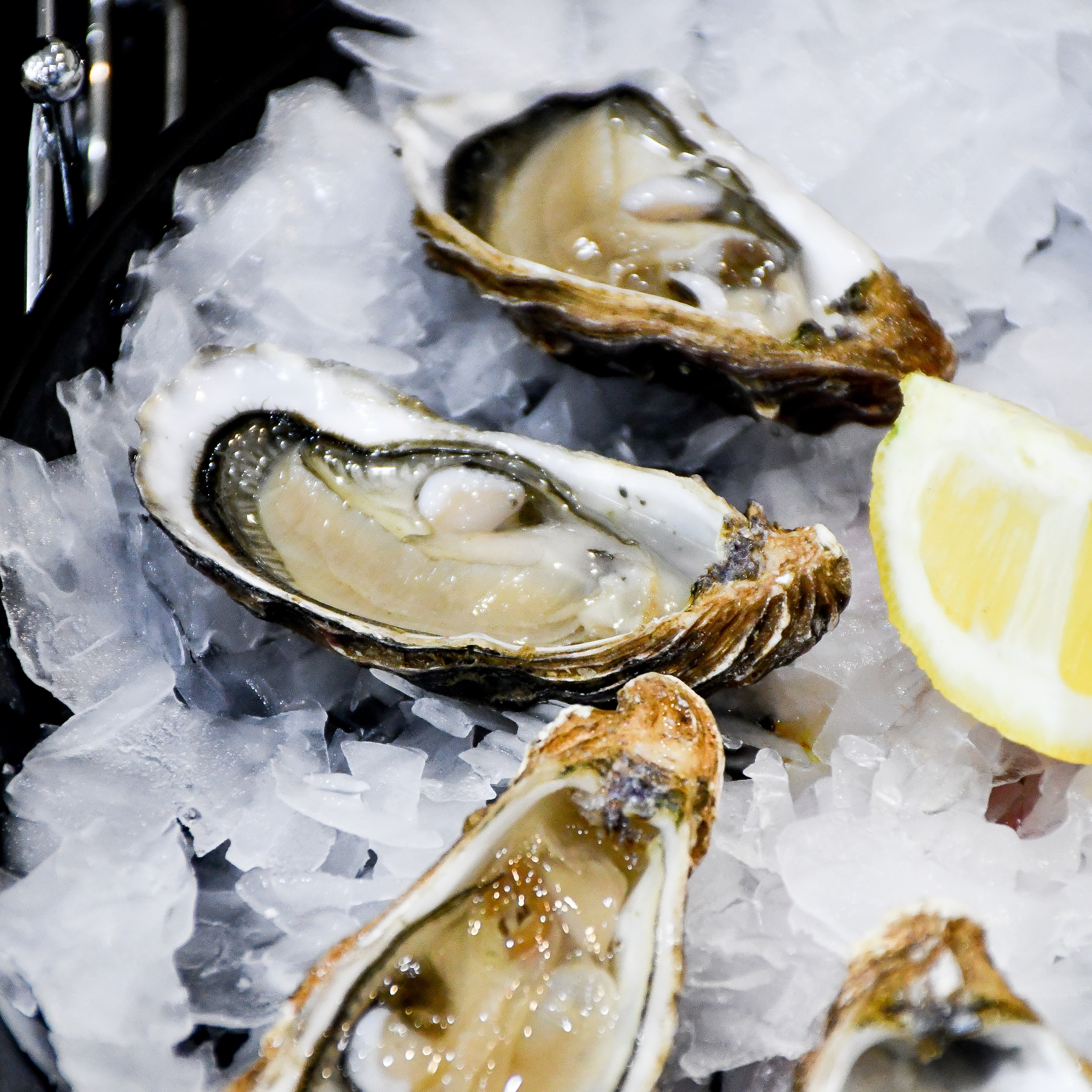 oyster tasting at the refuge of solaise