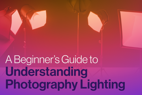 A Beginner’s Guide to Understanding Photography Lighting | PhotoDay®