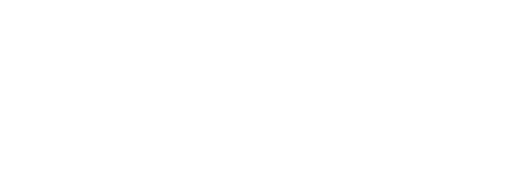 Chamber.media