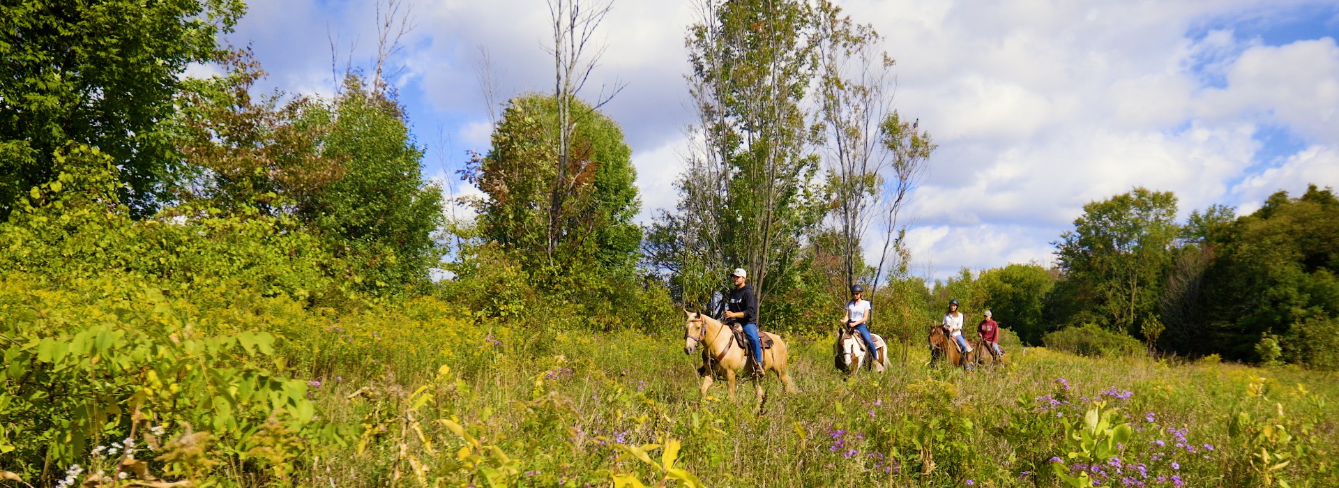 Horseback riding in spring