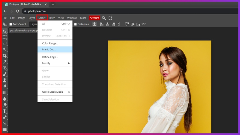 Photopea  Online Photo Editor