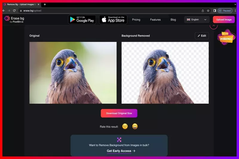 How to Remove Background from a High Resolution Image