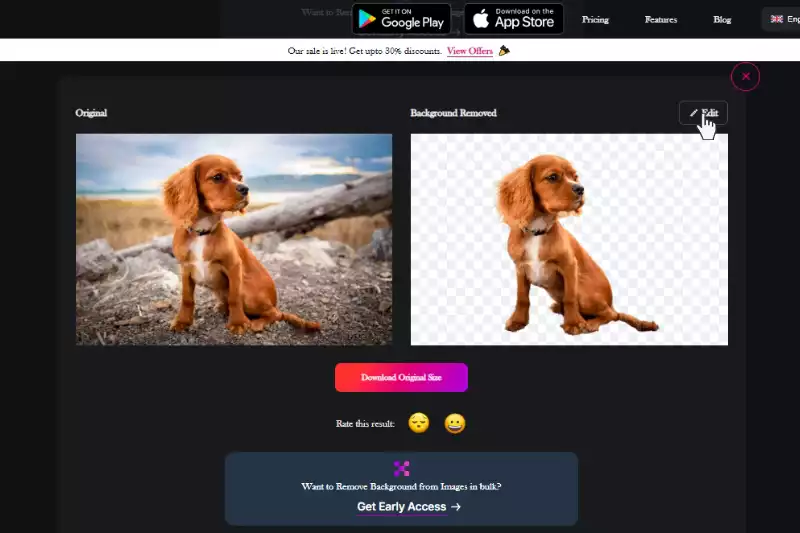 How to Remove Background from HEIC Image (In Simple Steps)
