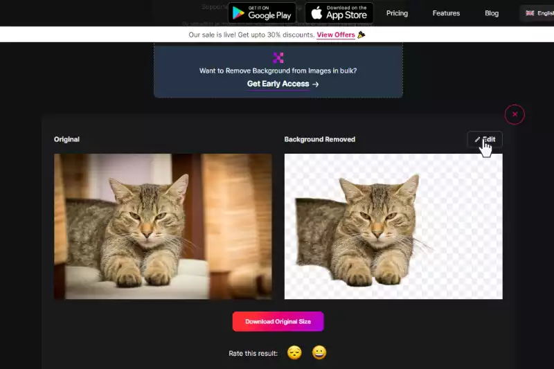 How to Remove Background from Pixlr Step by Steps