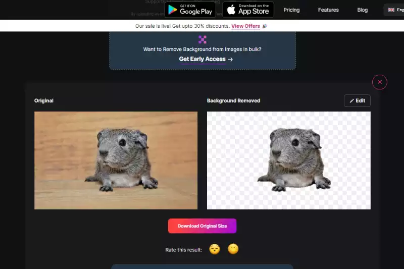 How To Remove Background using Corel
