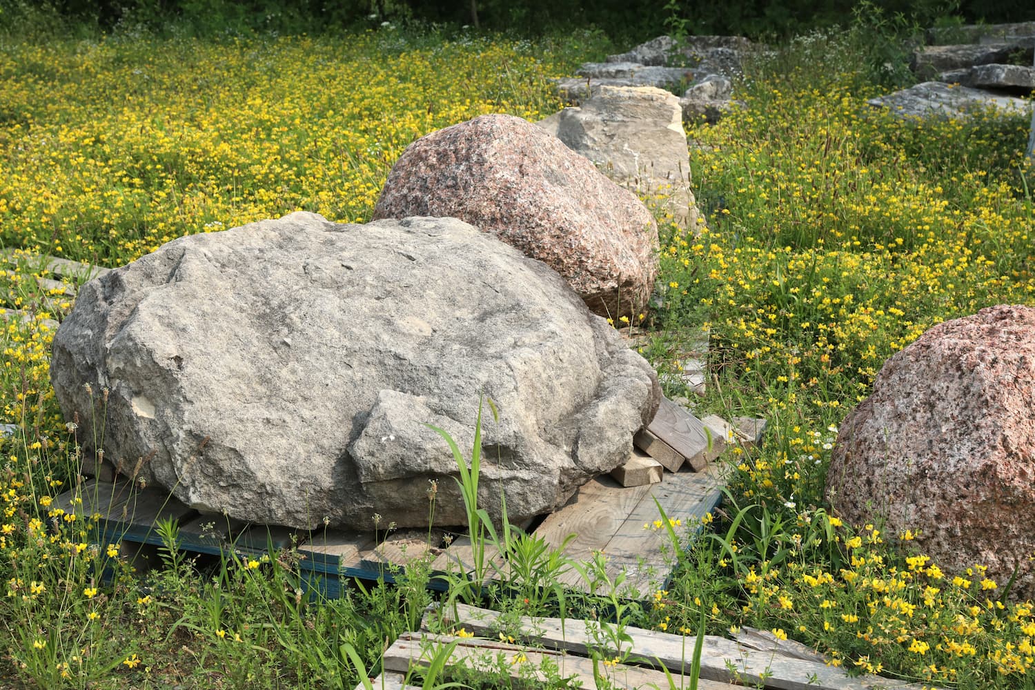 Pink Granite Landscape Rock