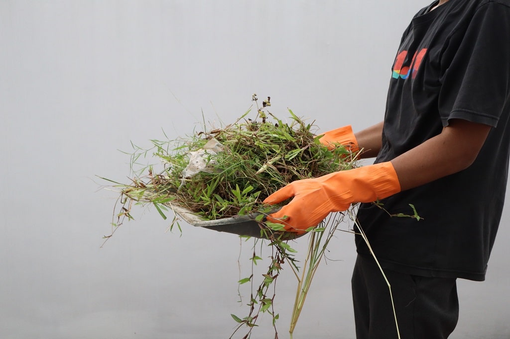 How to Clean Landscape Rocks? | Stone Center