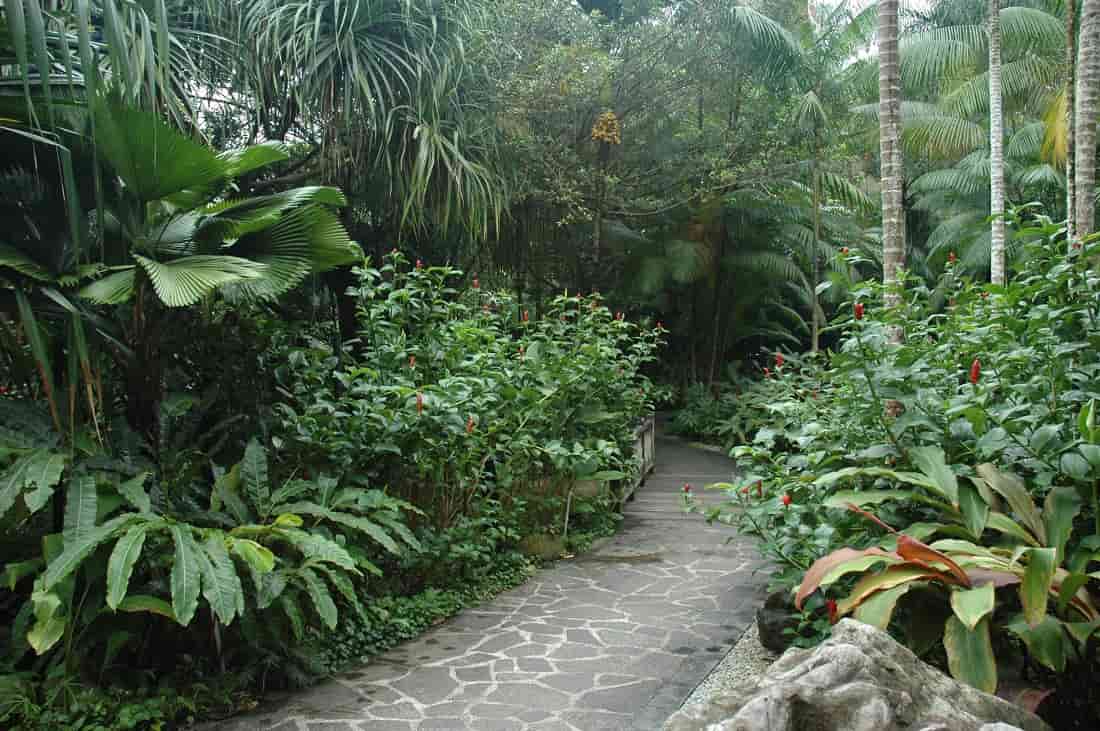 Patio Stones vs Stepping Stones Which Should You Choose? Stone Center