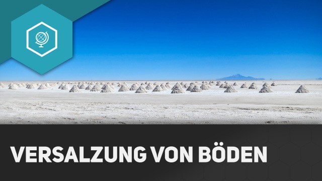 bodenversalzung-einfach-erkl-rt-simpleclub