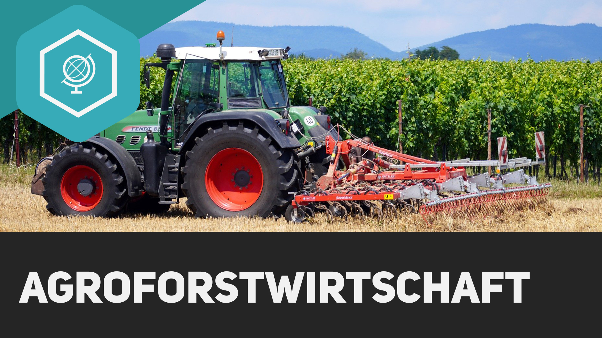 Agroforstwirtschaft Einfach Erkl rt Simpleclub