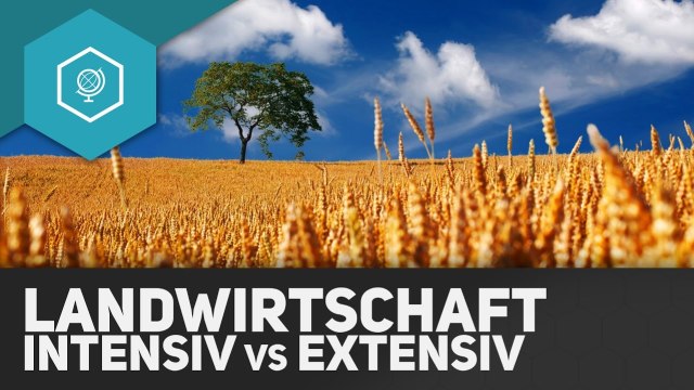 Intensive vs Extensive Landwirtschaft einfach erklärt - simpleclub