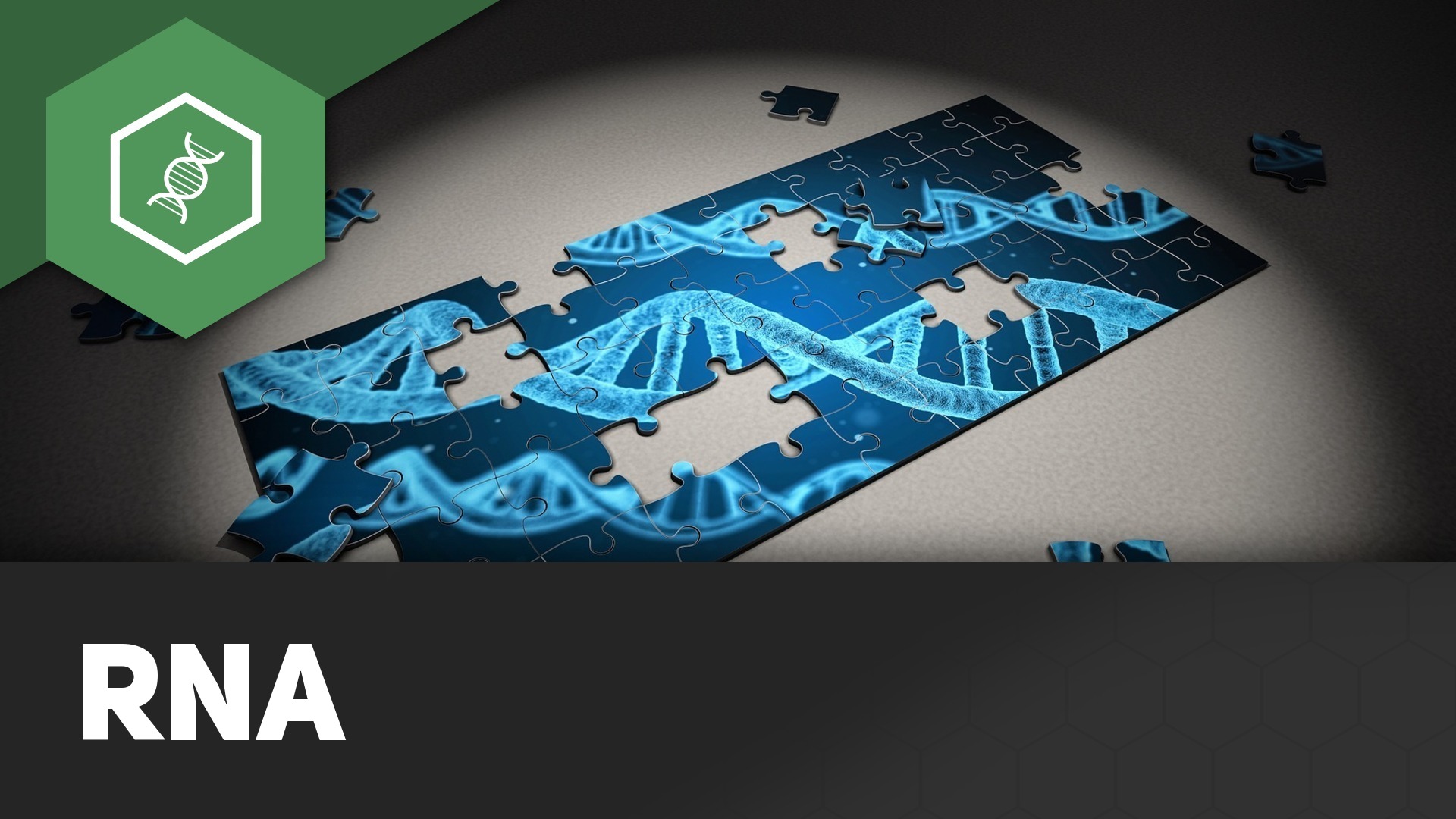 RNA einfach erklärt