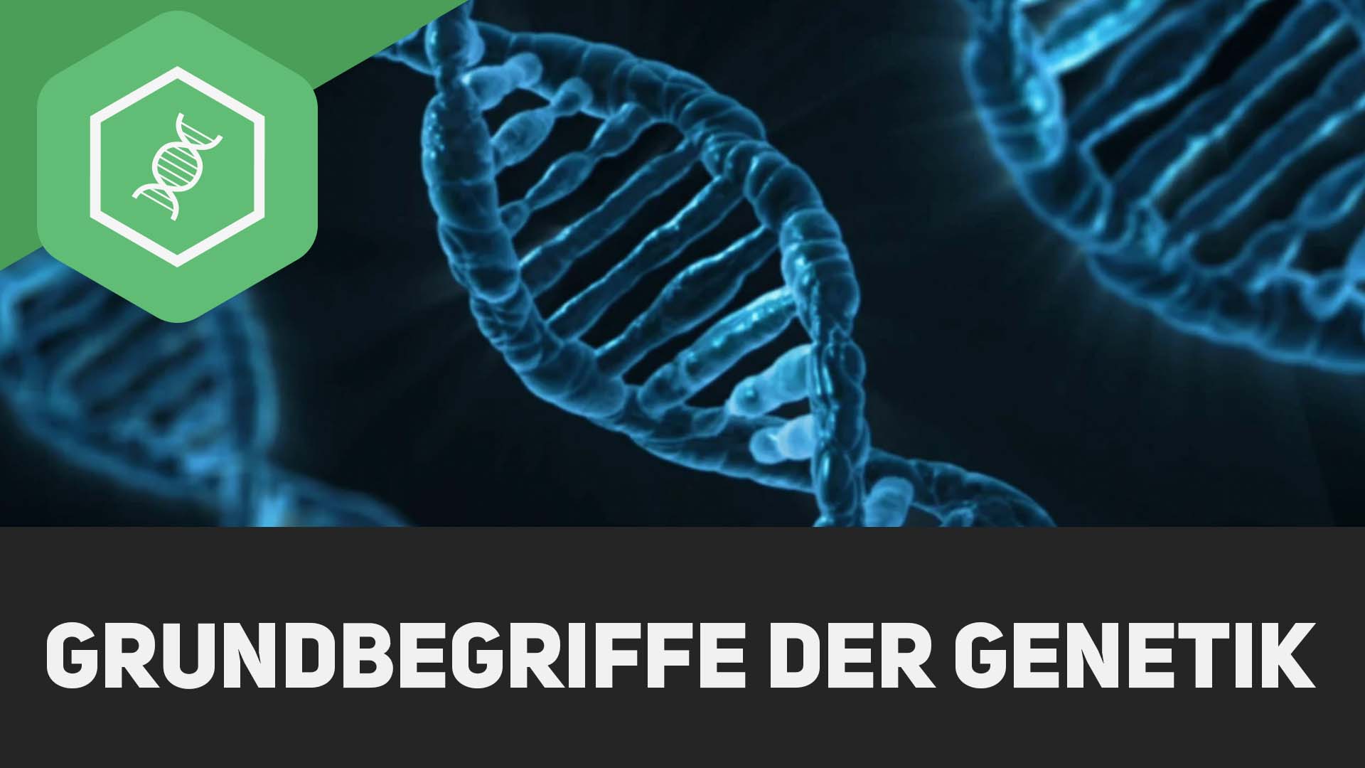 Begriff Aus Der Genetik Chromosomensätze einfach erklärt - simpleclub